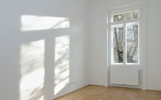 Wohnungssanierungen Wien